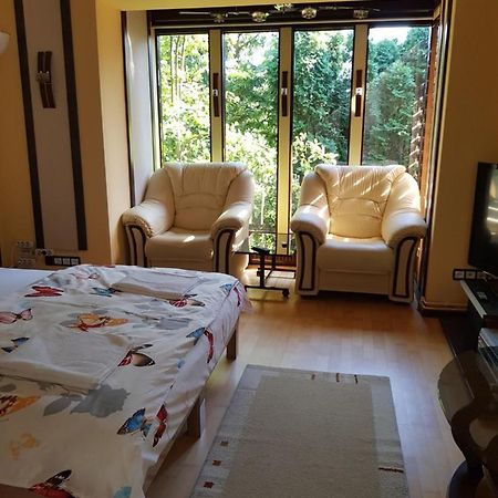Casa Negoiu Appartement Târgu-Mureş Buitenkant foto