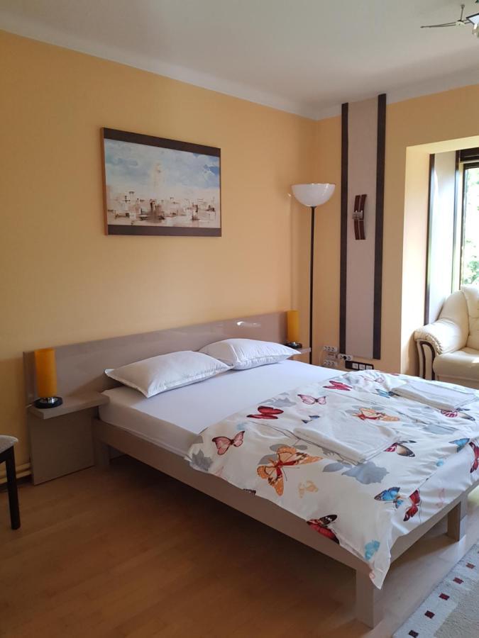 Casa Negoiu Appartement Târgu-Mureş Buitenkant foto