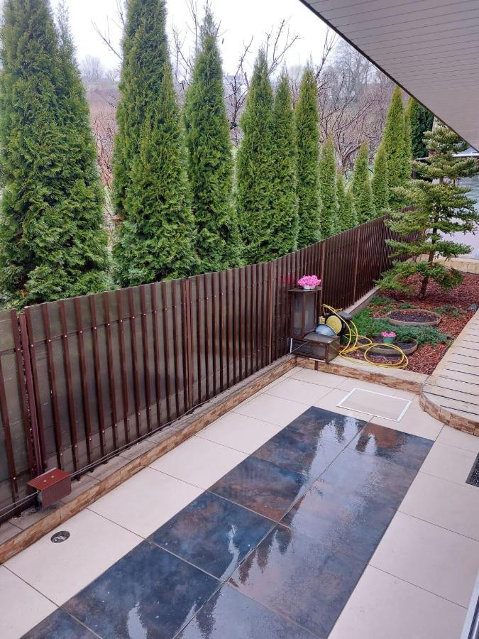 Casa Negoiu Appartement Târgu-Mureş Buitenkant foto