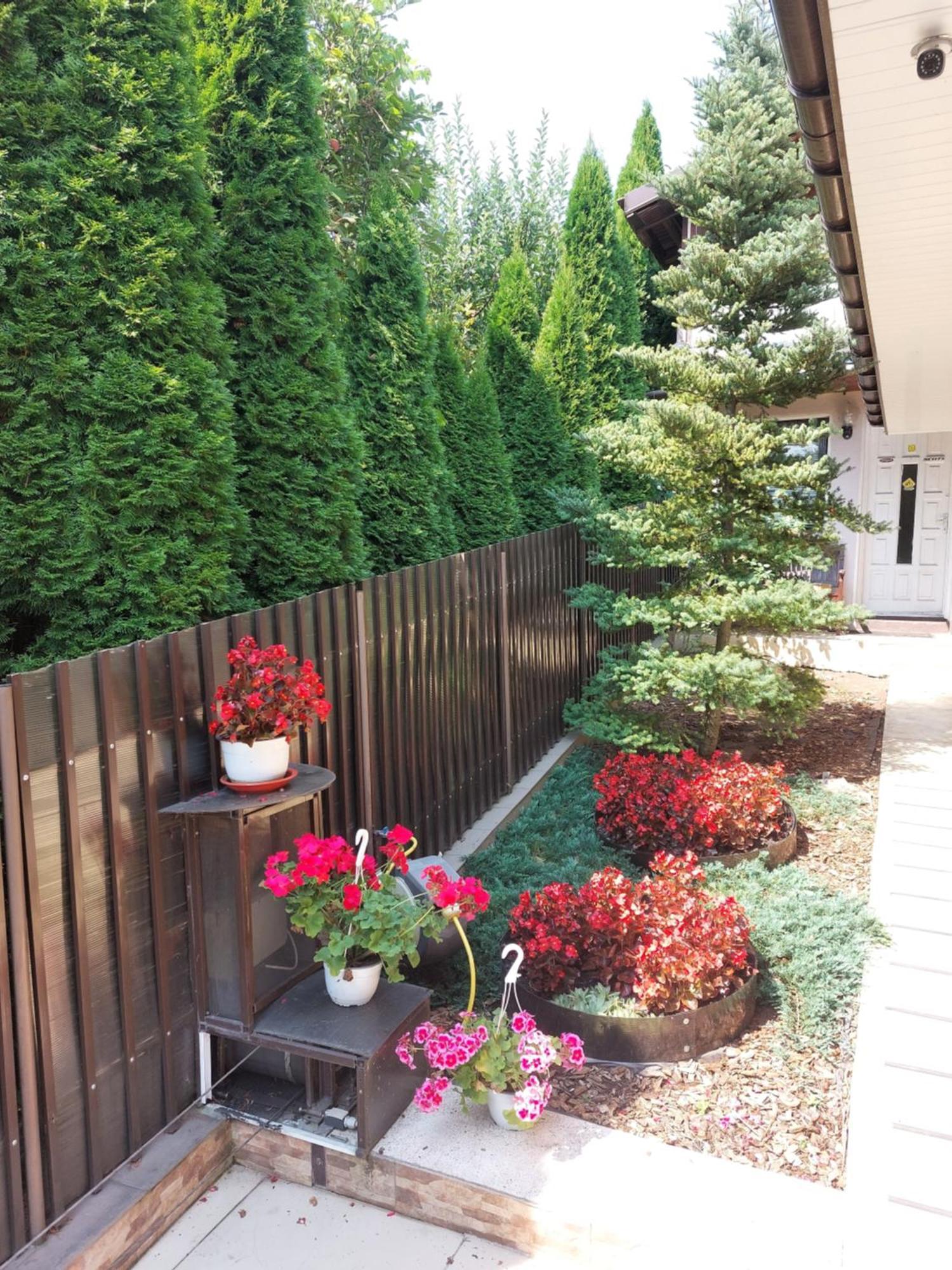 Casa Negoiu Appartement Târgu-Mureş Buitenkant foto